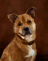 Irwin Portrait