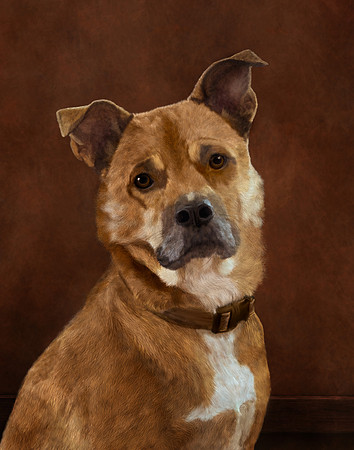 Irwin Portrait