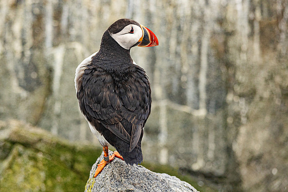 My Good Side